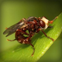 /album/selvannakija-tulkitsia-lydia/photolia-a06-jpg/